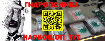 соль ск Славгород