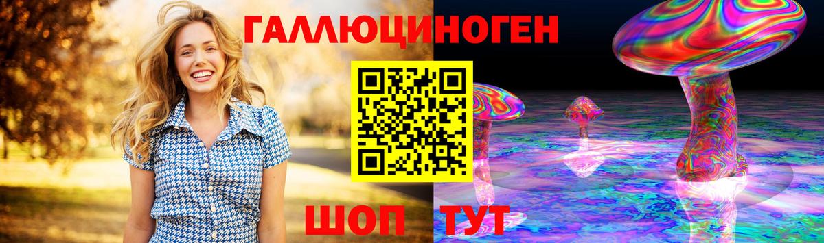 Псилоцибиновые грибы Cubensis Омск
